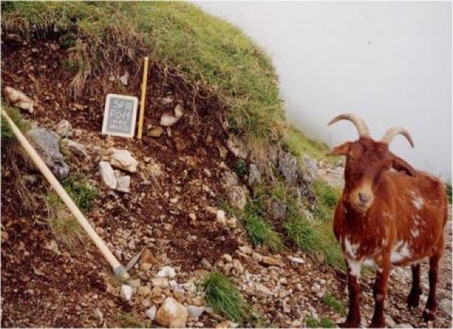 Estamos en construcción